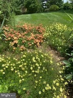 HUNTING HILLS - Residential