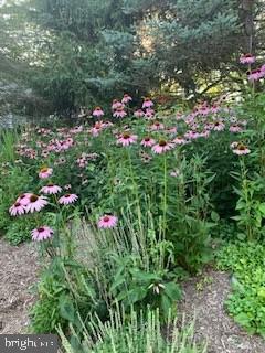 HUNTING HILLS - Residential