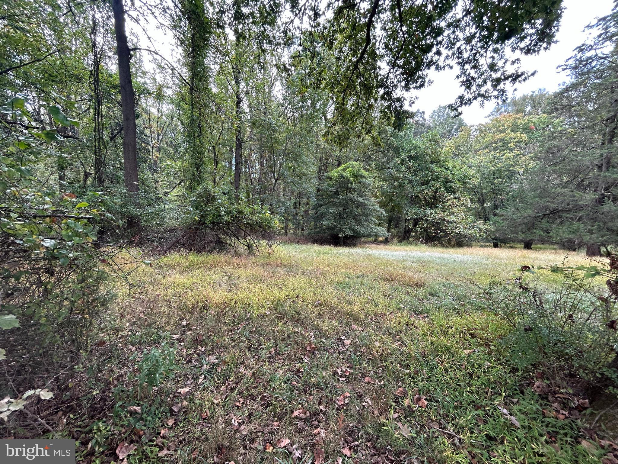 15325 HOLLY GROVE ROAD