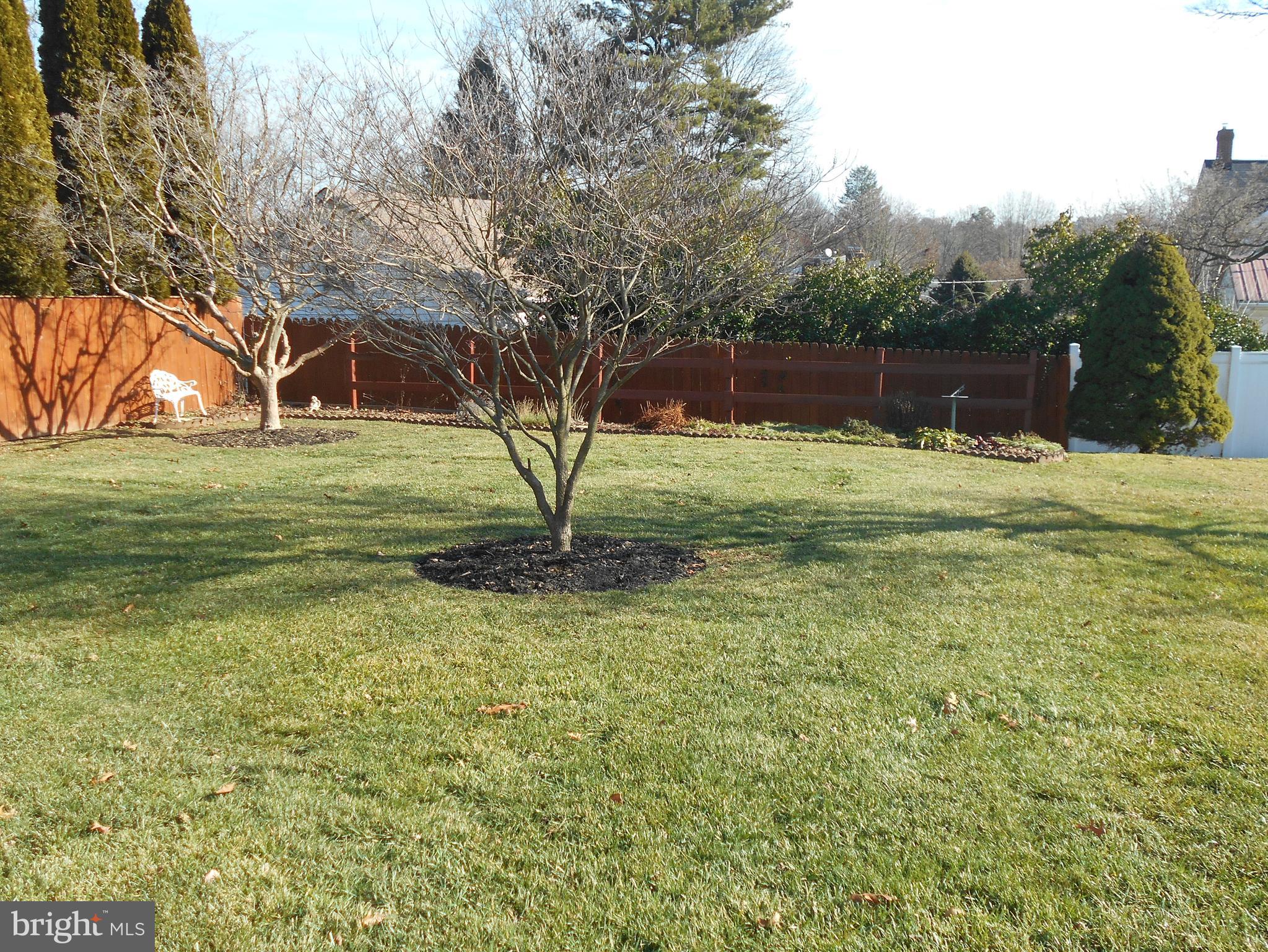 FRIENDSHIP HEIGHTS - Residential