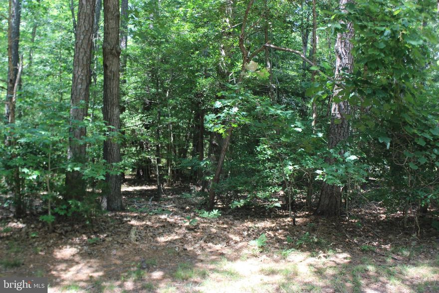 11/104 Wooded lot with water availability. Wider that most lots allowing for larger home or additional parking for a boat.. Buy now and build later, take advantage of this great buy while it last! No time frame to build & No builder Tie-in, Expired septic permit on file for 3BR septic. Enjoy all the amenities and the lifestyle on the Eastern Shore of VA. Captains Cove is the Eastern Shore of Virginias fastest growing Golf & Waterfront community; close to Chincoteague Island, Wallops Island and Ocean City MD. Amenities offer: Pristine 9 Hole Gold Course, indoor/outdoor pools (2), fitness center, basketball & pickle-ball courts, boat ramp, docks, playground, picnic area, dog park, biking & walking trails, security and so much more.