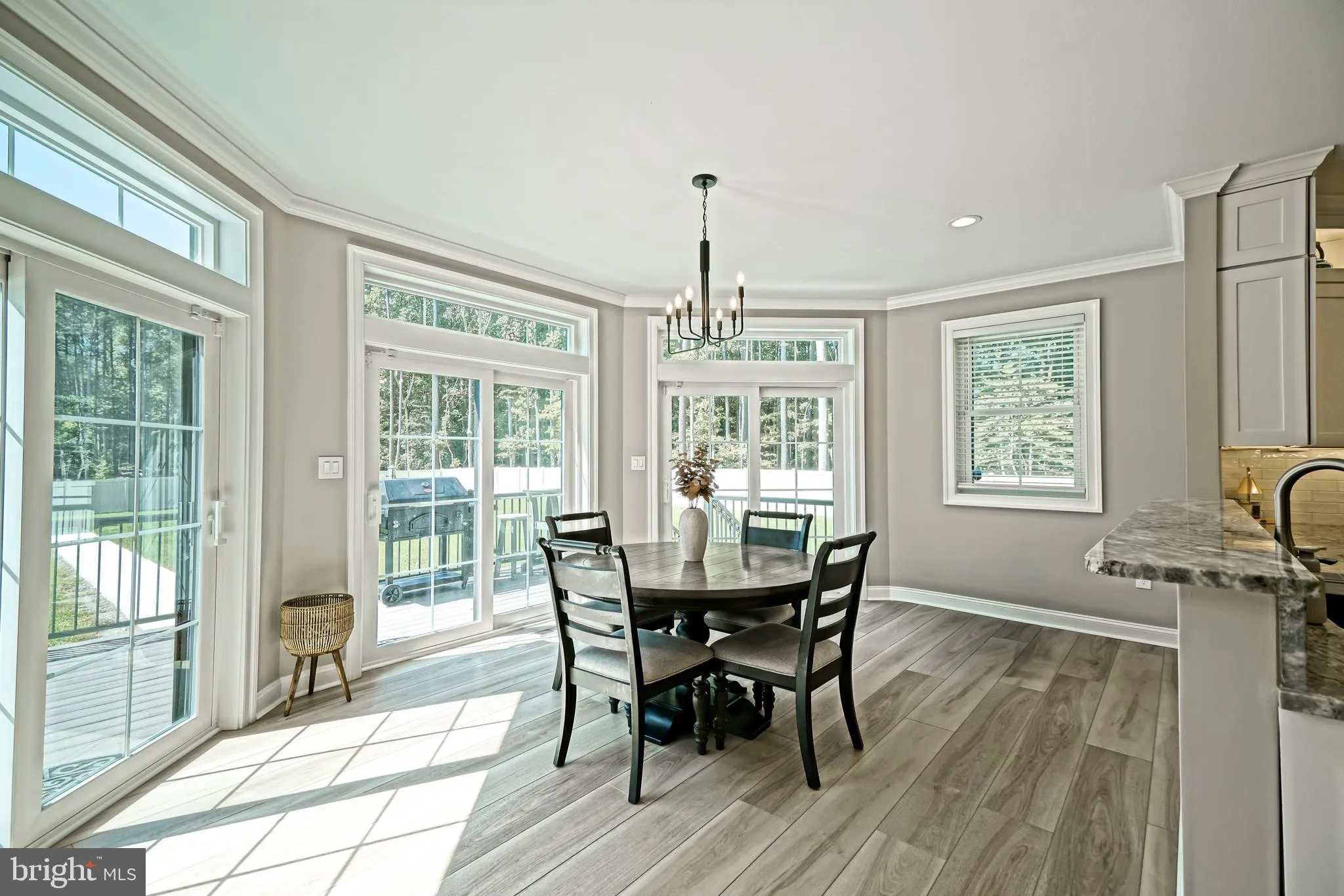 Georgetown, Delaware 19947, United States, 4 Bedrooms Bedrooms, ,5 BathroomsBathrooms,Residential,Active,217302