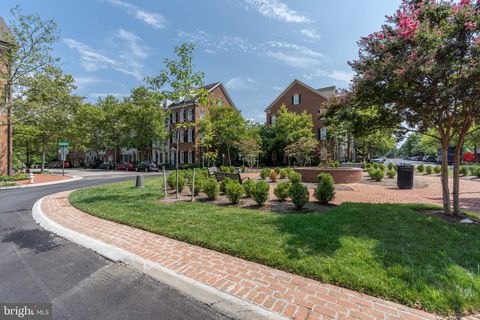 listing image 47