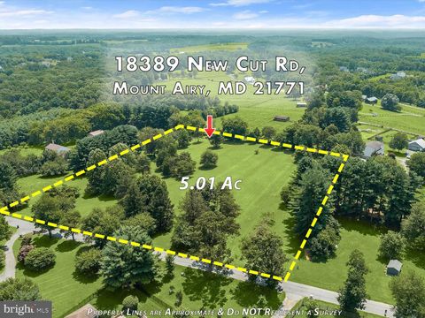 18389 NEW CUT ROAD MOUNT AIRY MD 21771