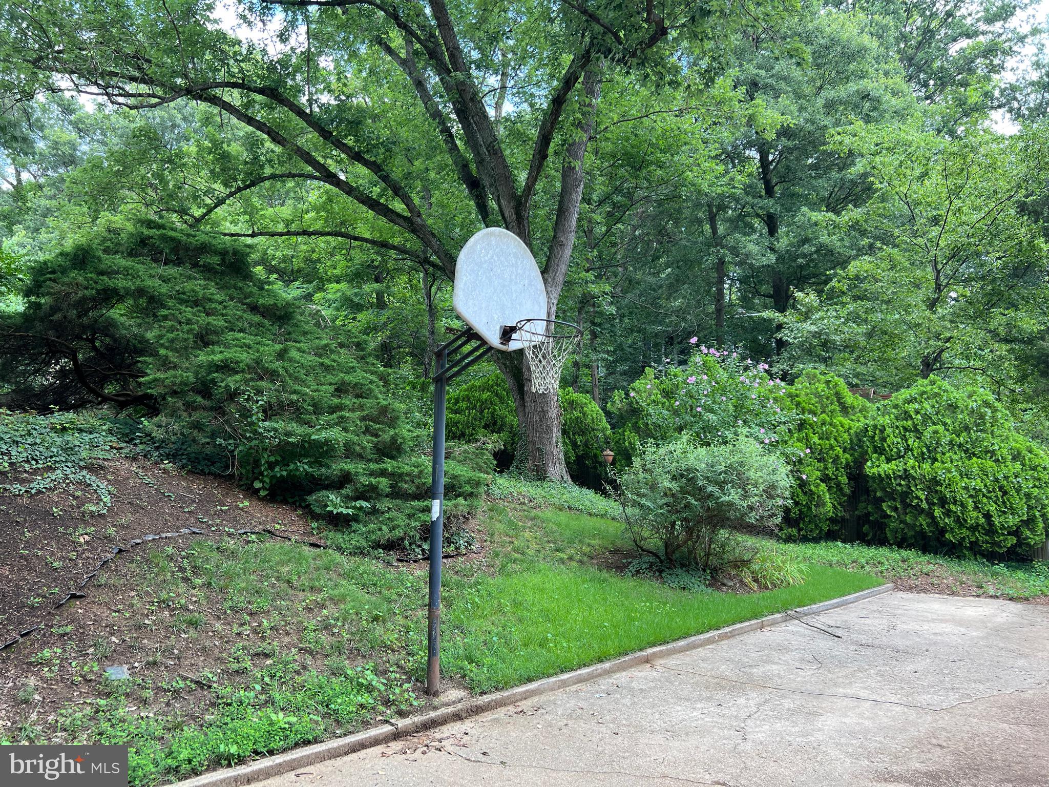 ALEXANDRIA - Residential Lease