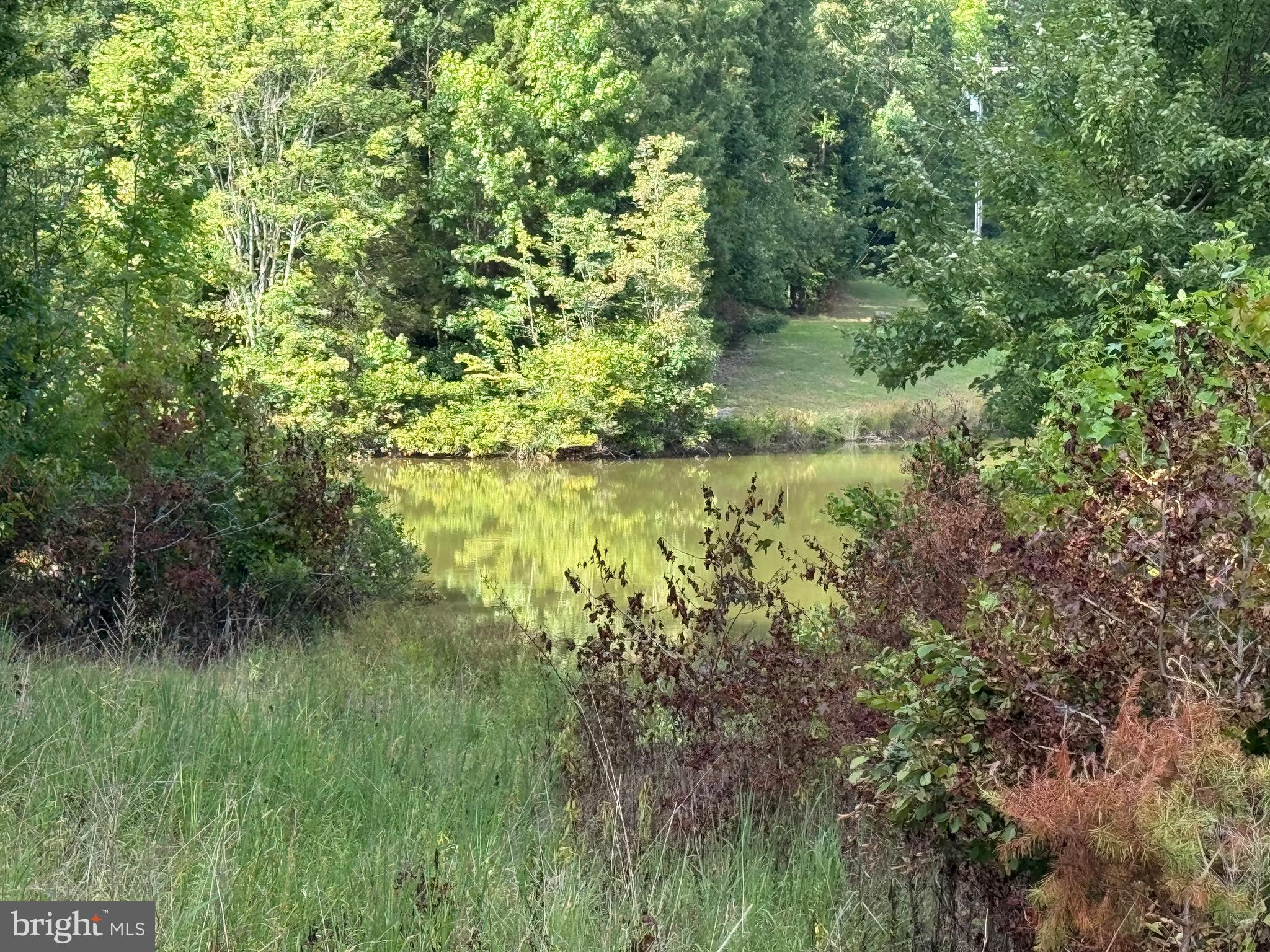 JERDONE ISLAND - Land