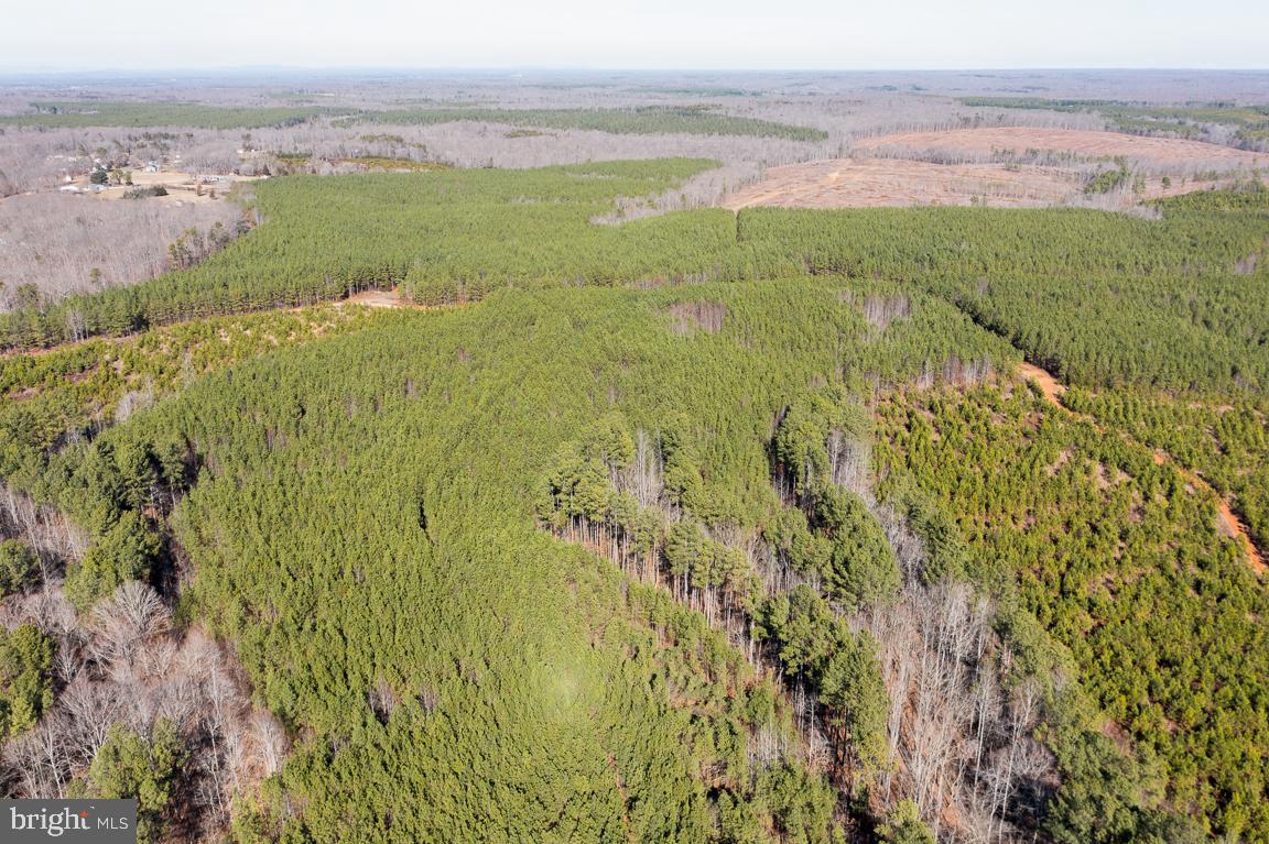 SHEPPERDS GROVE - Land