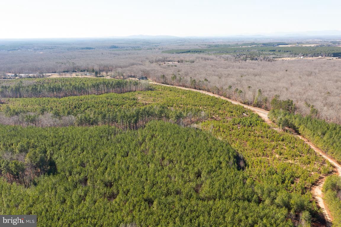 SHEPPERDS GROVE - Land