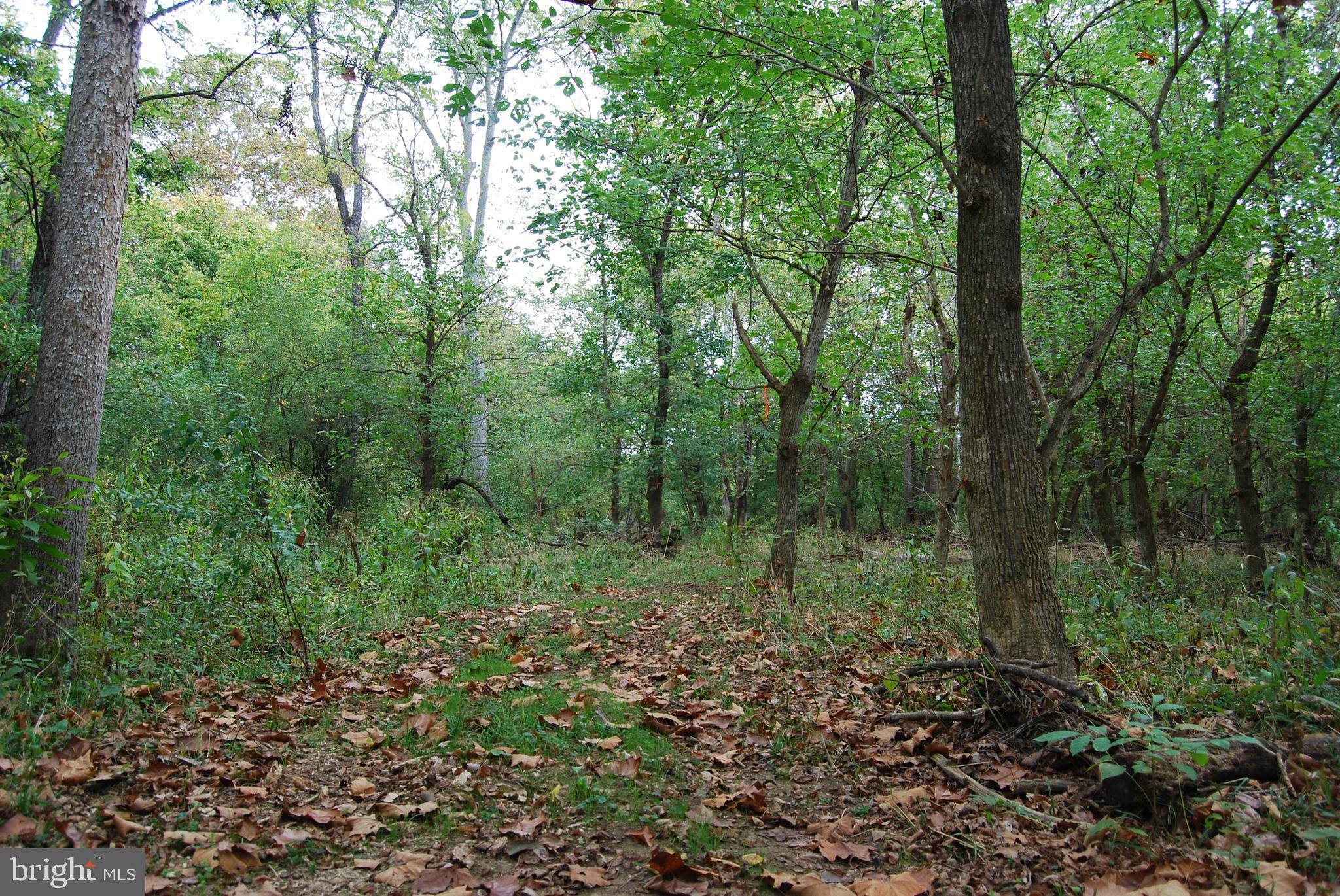 RUSSELL - Residential