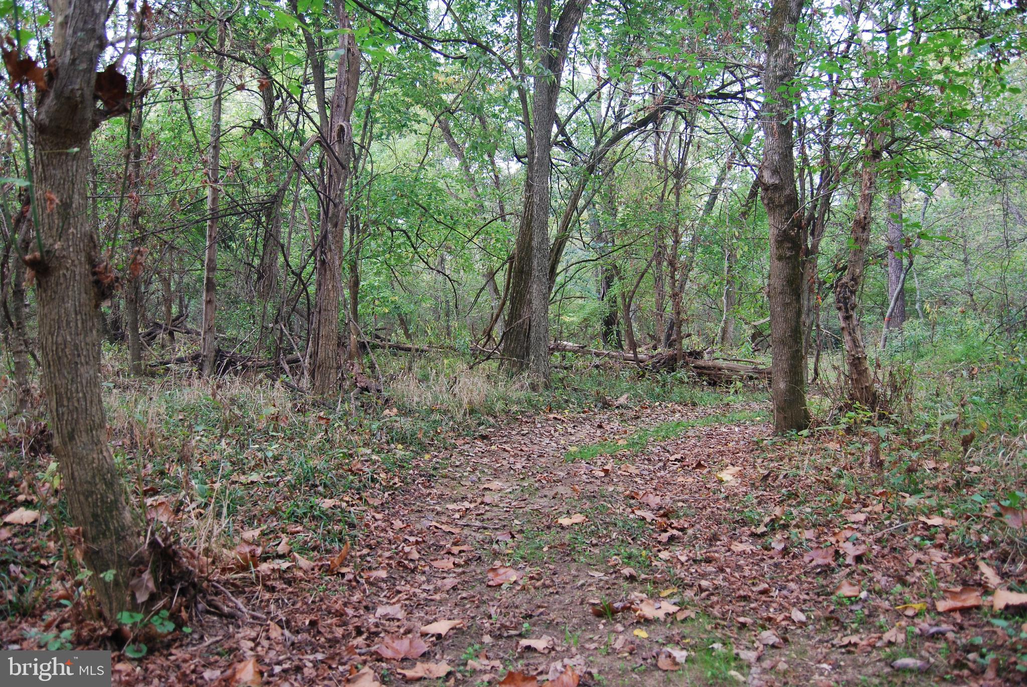 RUSSELL - Residential