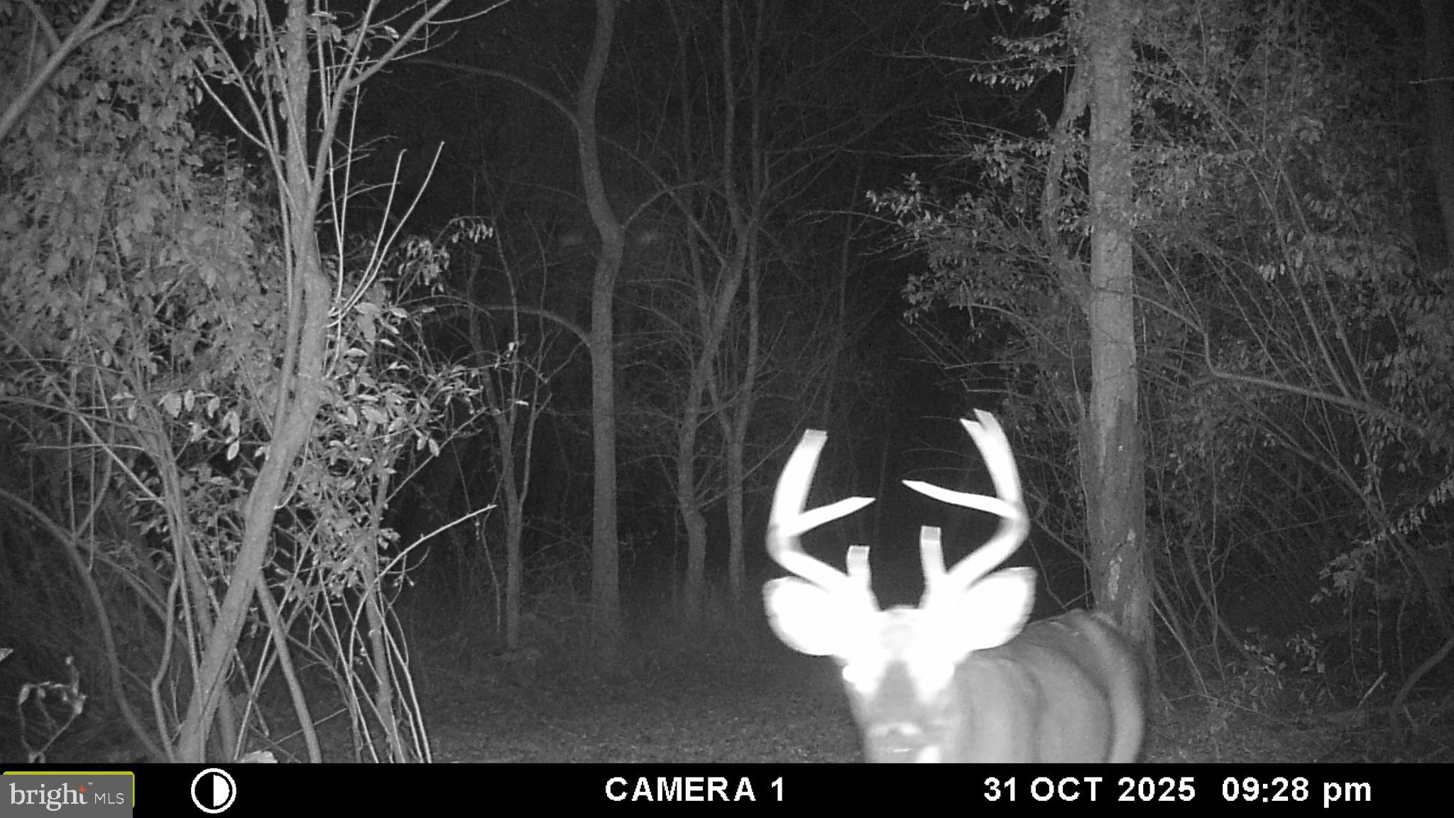 RUSSELL - Residential