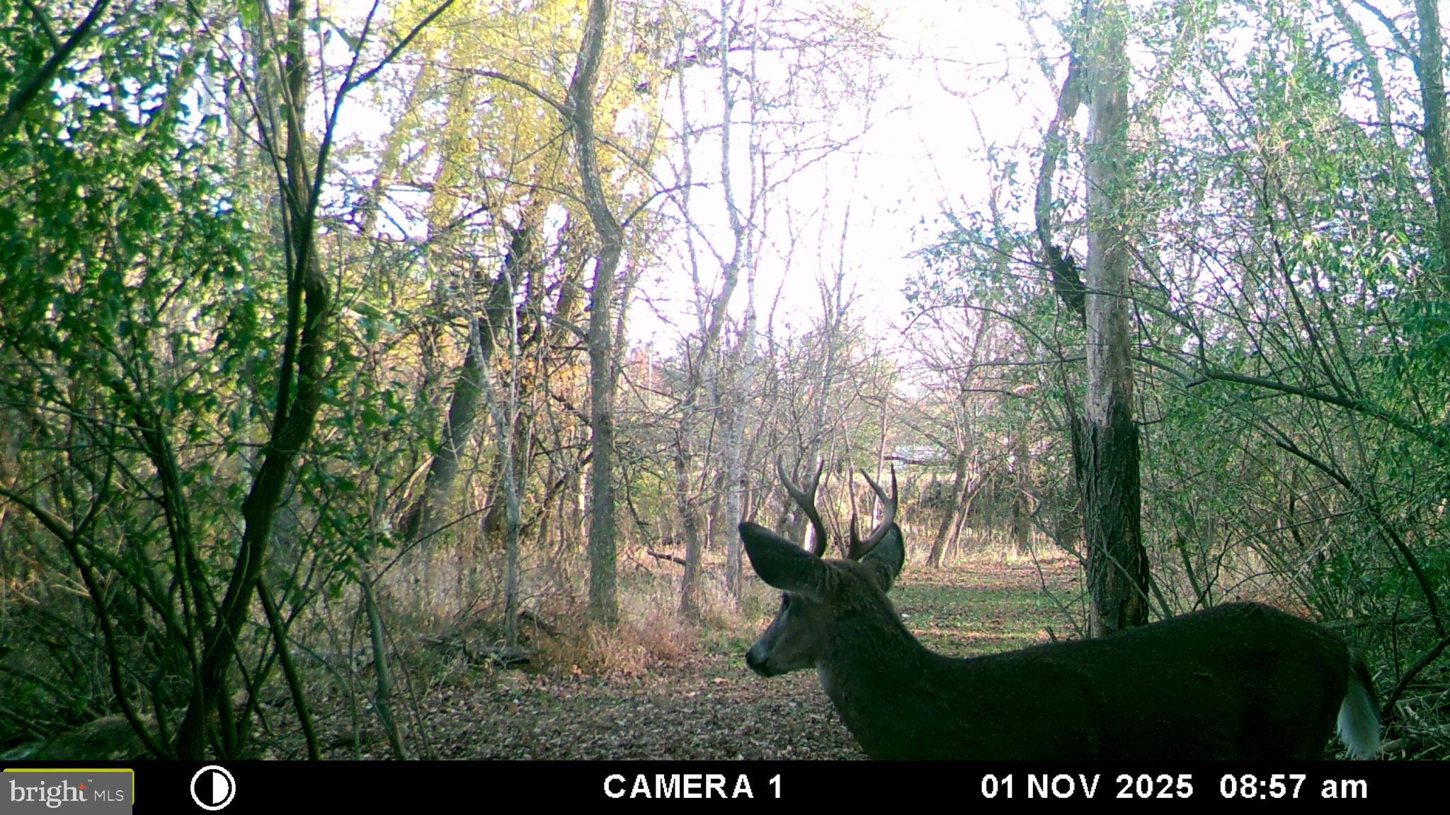 RUSSELL - Residential