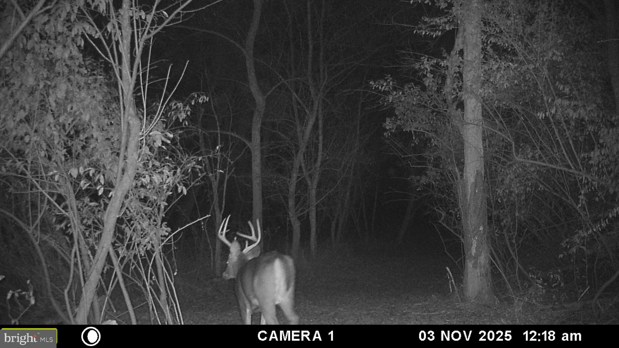 RUSSELL - Residential