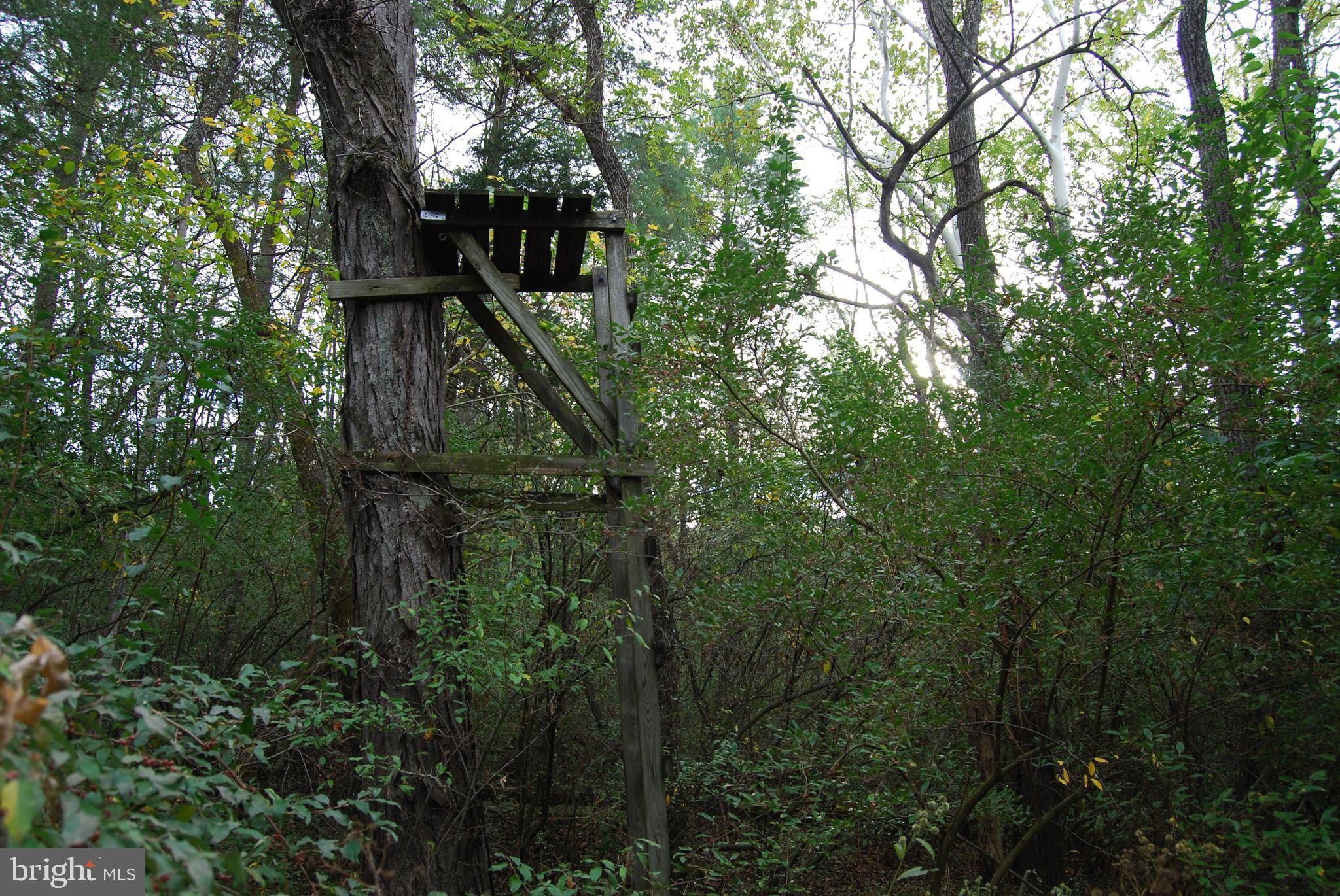 RUSSELL - Residential