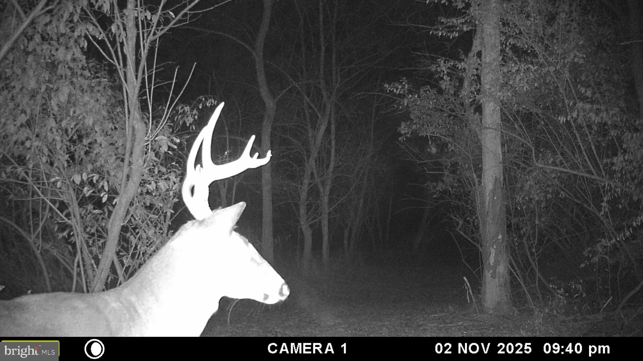 RUSSELL - Residential