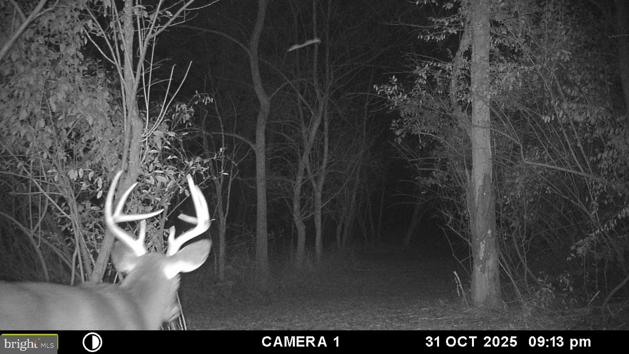 RUSSELL - Residential