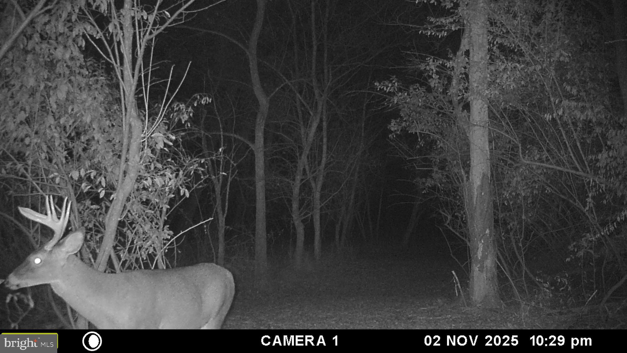 RUSSELL - Residential