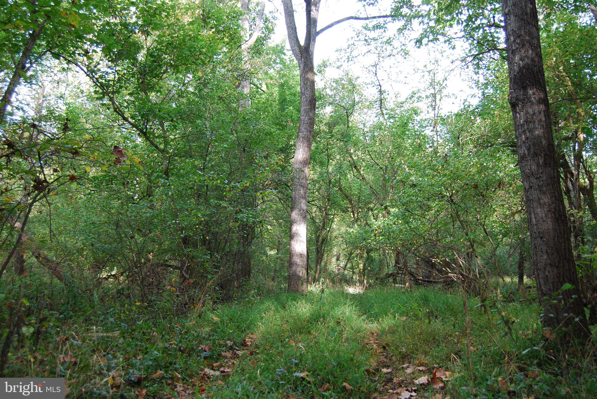 RUSSELL - Residential