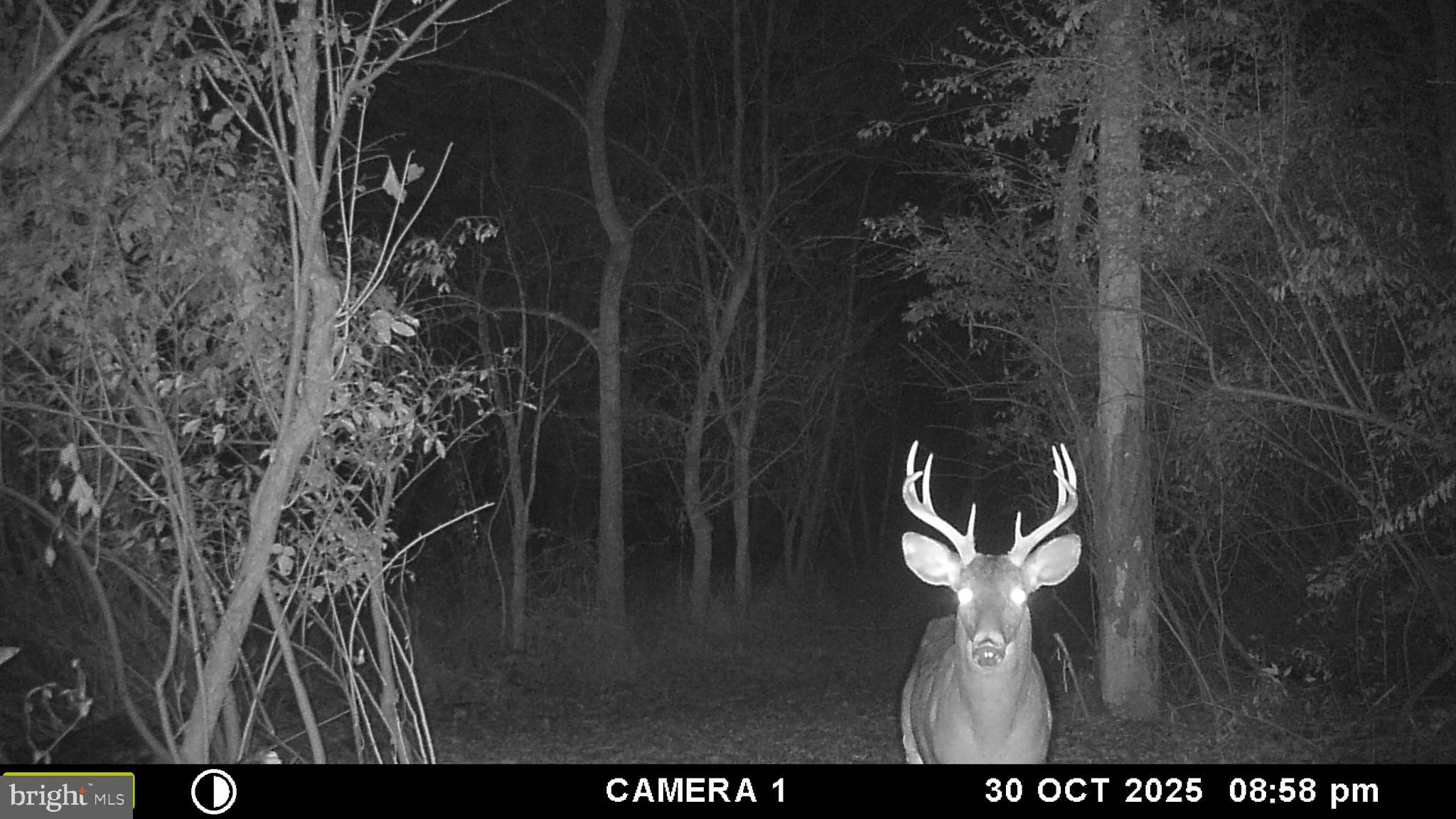 RUSSELL - Residential