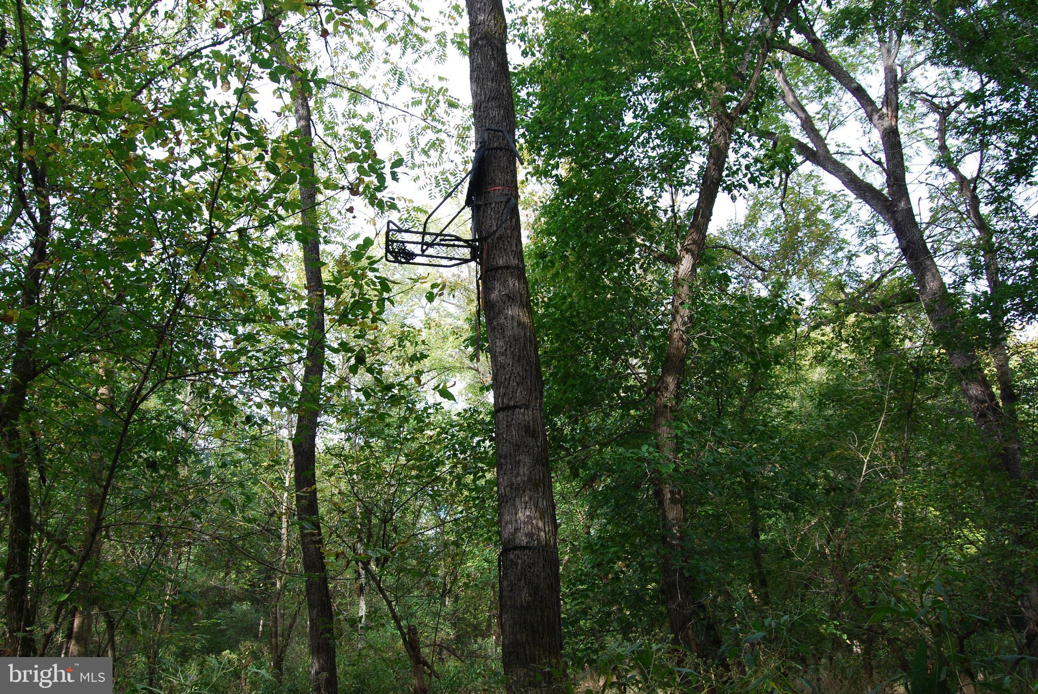 RUSSELL - Residential