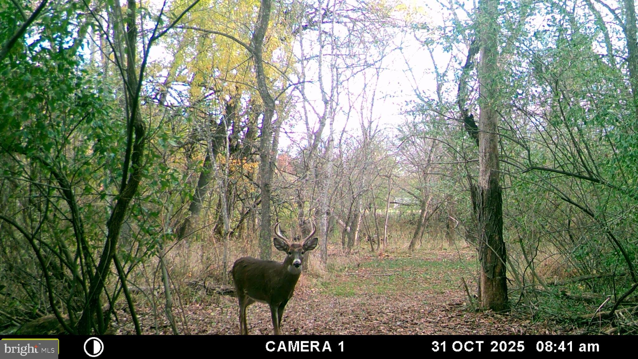 RUSSELL - Residential