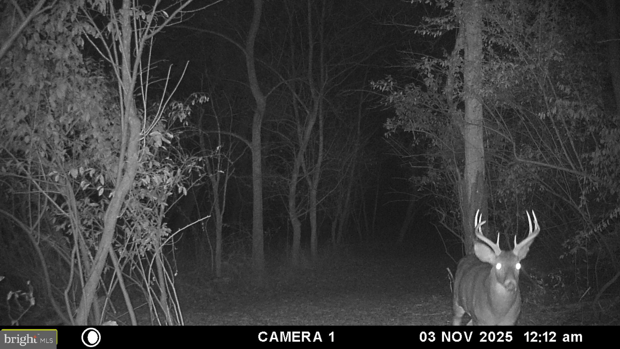 RUSSELL - Residential