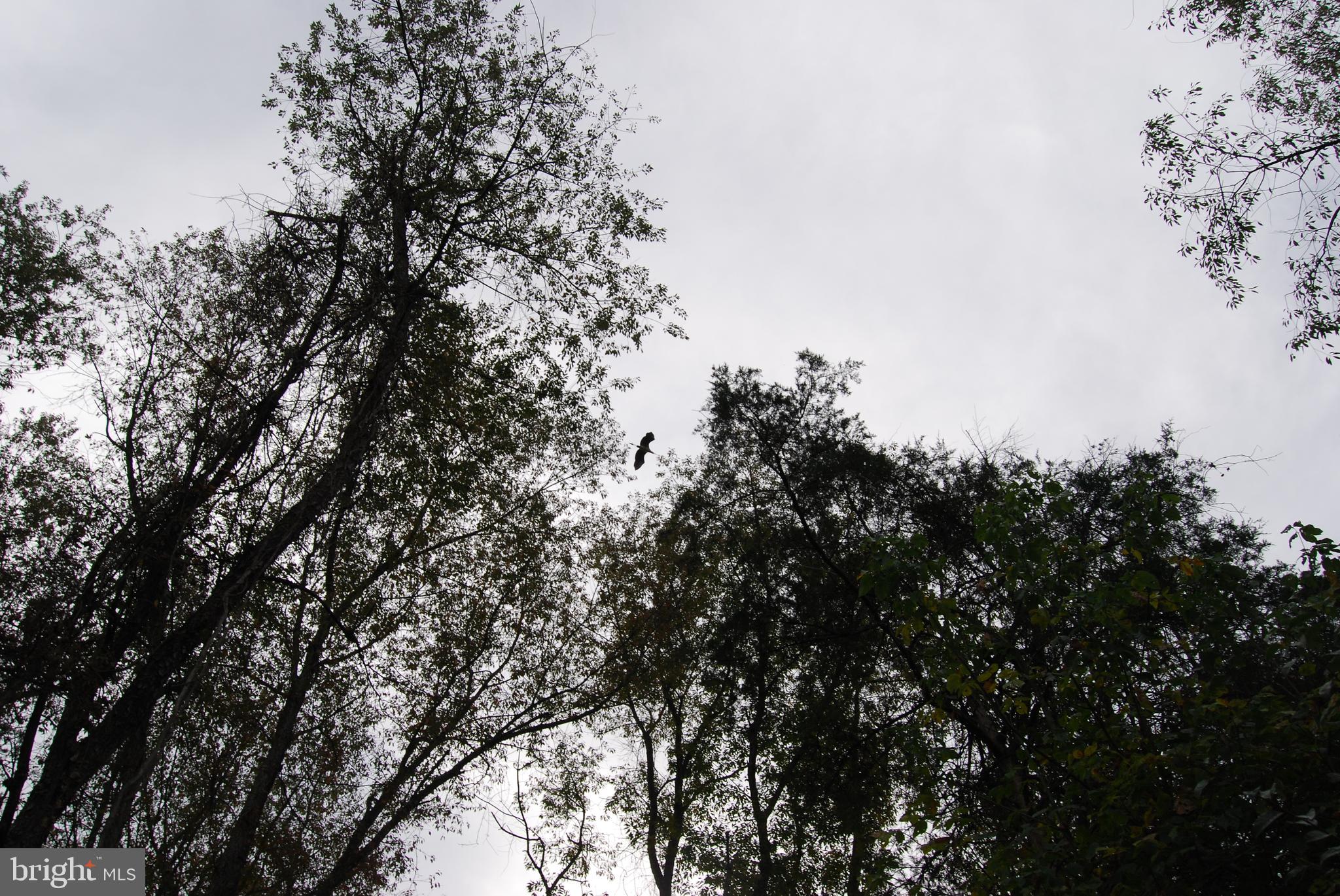 RUSSELL - Residential