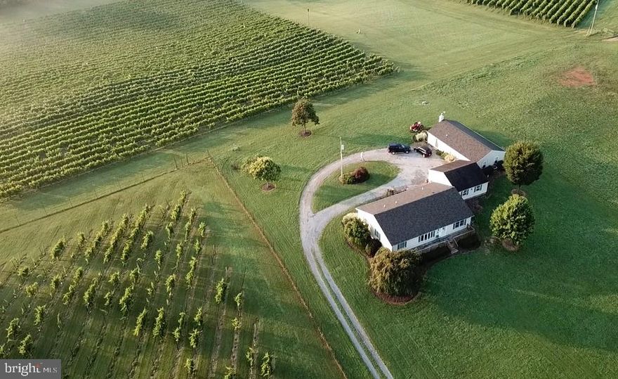 The wait is over, this charming property has been thoughtfully updated and is now ready for its new owners.  Situated on just under 3 acres and nestled up against Veramar Vineyards, this home feels like an escape from the hectic pace of life.  The property features two separate dwellings- the main home plus a carriage home. The main home is approximately 1,872 square feet of living space with a floorplan that offers a lot of flexibility.  Three beds/2 full baths. Brand new luxury vinyl flooring has been installed throughout.  The home also has fresh paint, designer fixtures, refreshed kitchen and baths,  and a view of the mountains that will take your breath away.  The carriage house is a modern yet cozy space featuring 1 bed/1 bath, a home office, den, workshop and full size kitchenette with an island! Boasting approximately 1,152 square feet you will have plenty of room! Main level living at its best.  This special property is great for multi-generation living or an income generating rental or Airbnb. Enjoy the sunrise and sunset from your back deck.  When the vines are in bloom you won't find anything more beautiful than the view from your family room. Take advantage of all the nearby amenities this convenient location offers.  Situated right off of route 7 you are just 20 minutes from Winchester and 10 from the town of Berryville.  Explore nature's playground and go hike the  Appalachian Trail at Bears Den then grab a bite and a beer at Bear Chase Brewing.  Take a winery tour in Virginia's wine country starting with Veramar Vineyard, right in your very own backyard.  There are so many things to enjoy all year round - check out the new Chilly Hollow Brewing Company, the Clarke County Fair, Wayside Farm Fun and Oak Hart Farm.  This home is a  must see- there's nothing quite like it.