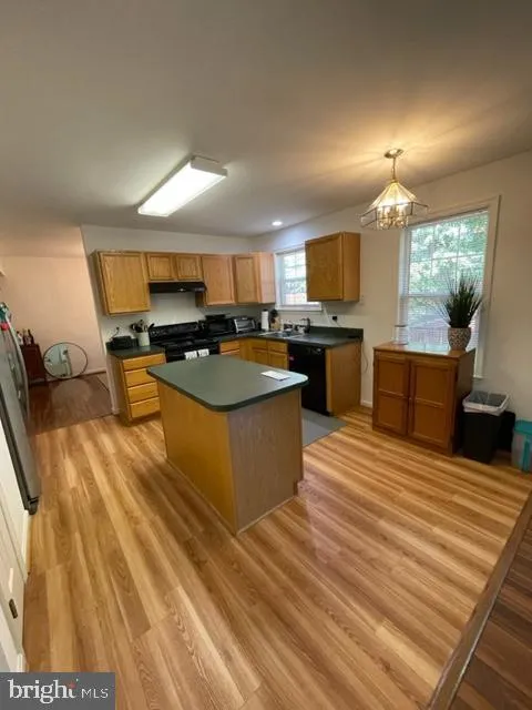 Additional image 35 of 838 Chestnut Tree Drive, Annapolis, MD 21409