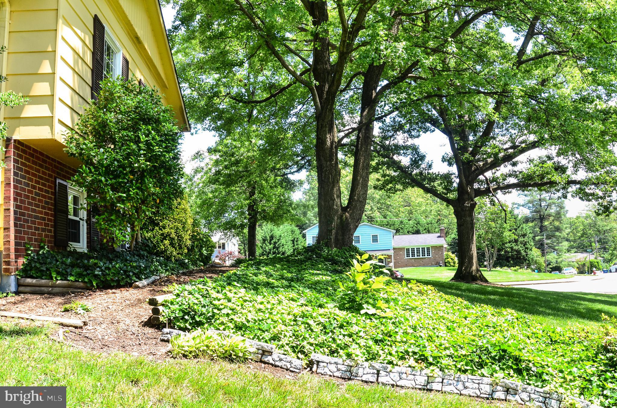 RUTHERFORD - Residential