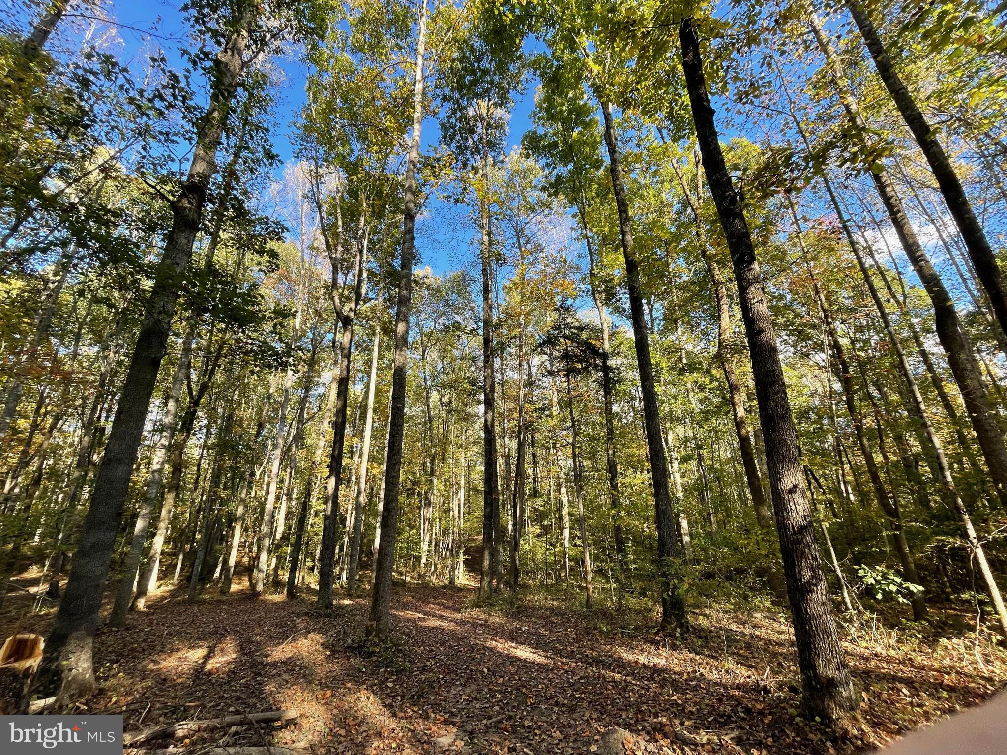 NONE AVAILABLE - Land