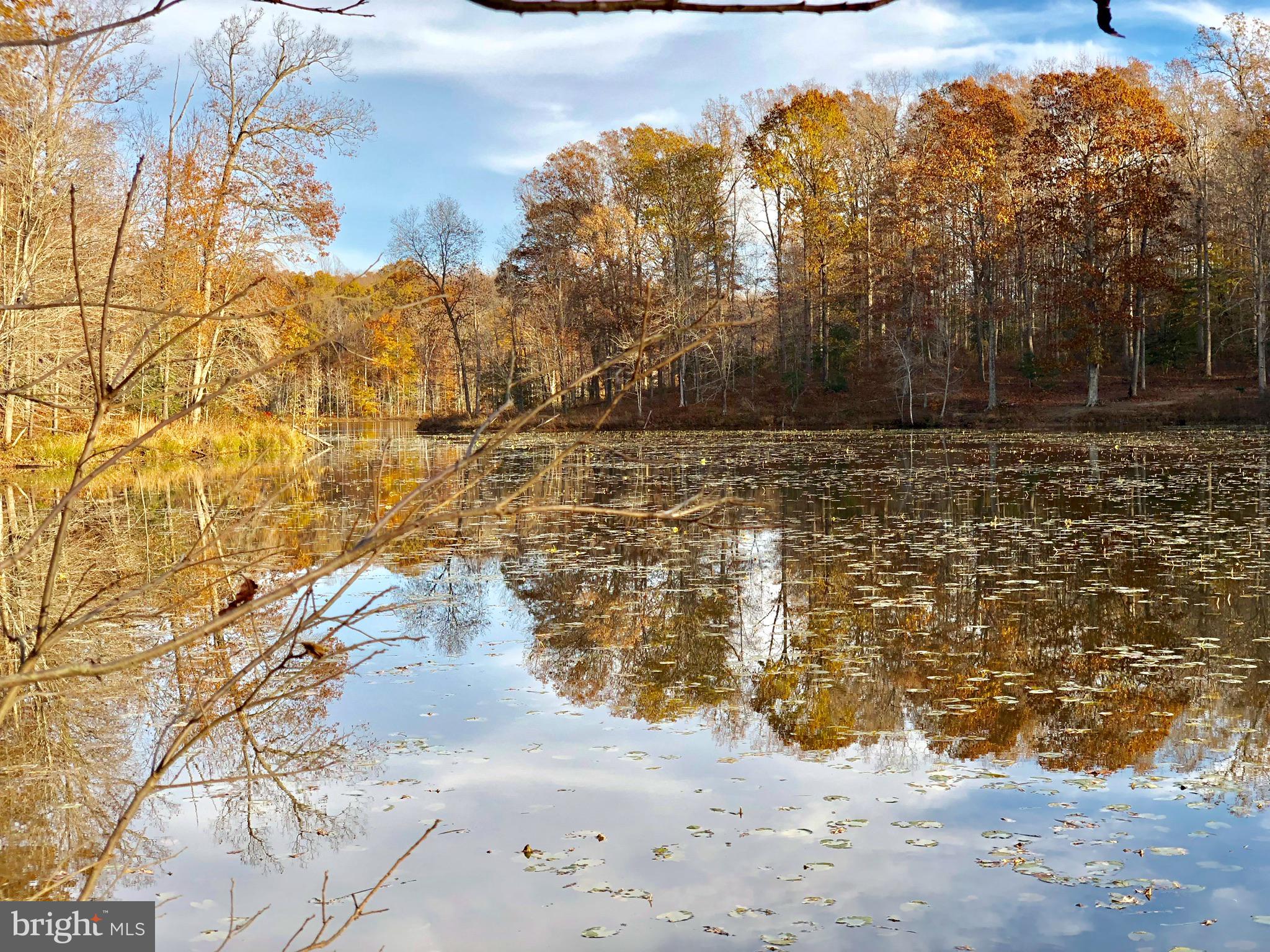 NONE AVAILABLE - Land