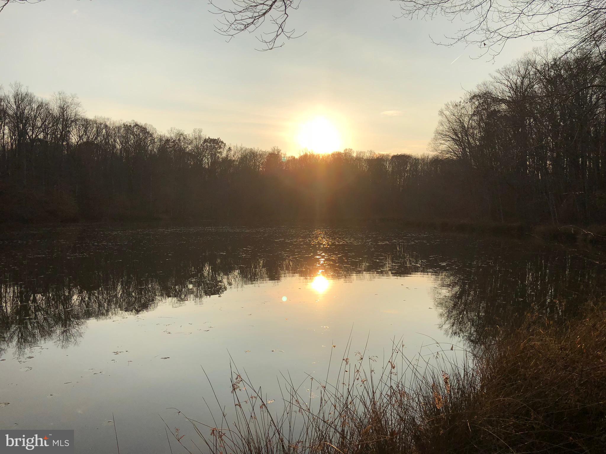 NONE AVAILABLE - Land