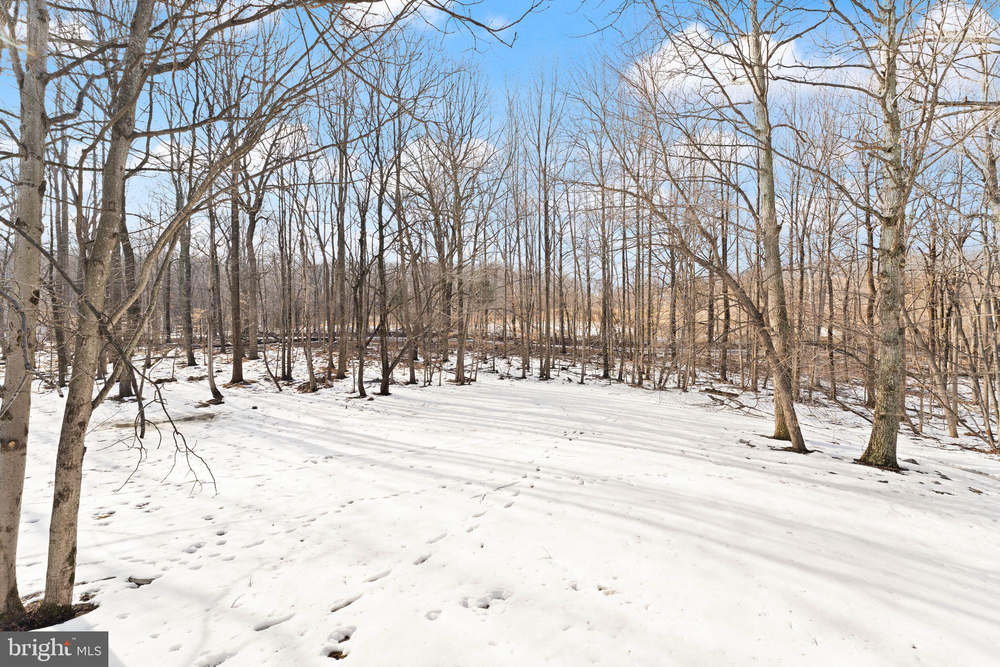 CARTER FARM ESTATES - Residential