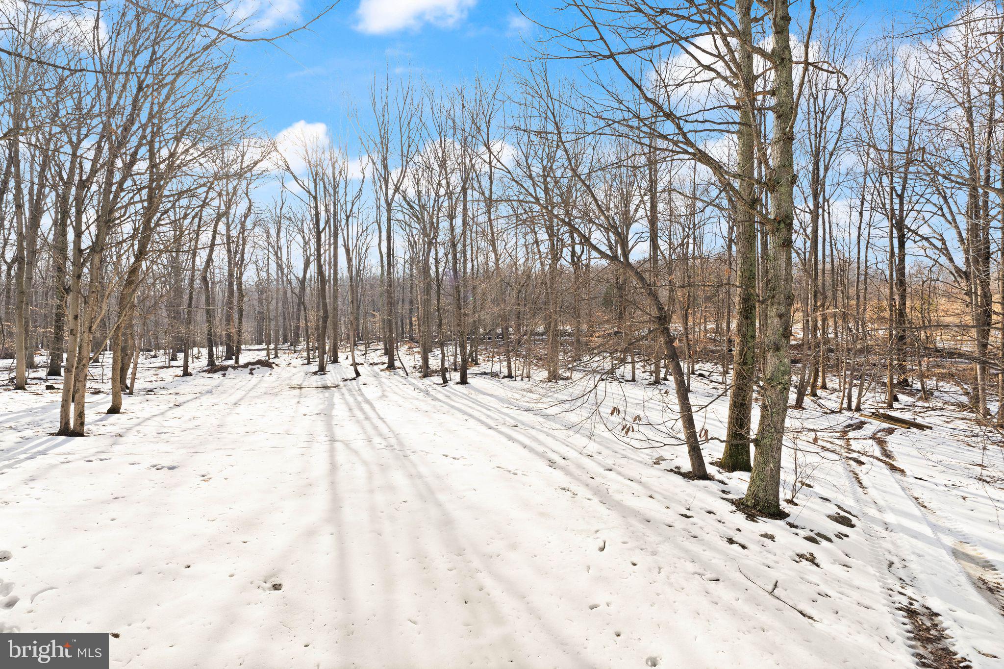 CARTER FARM ESTATES - Residential