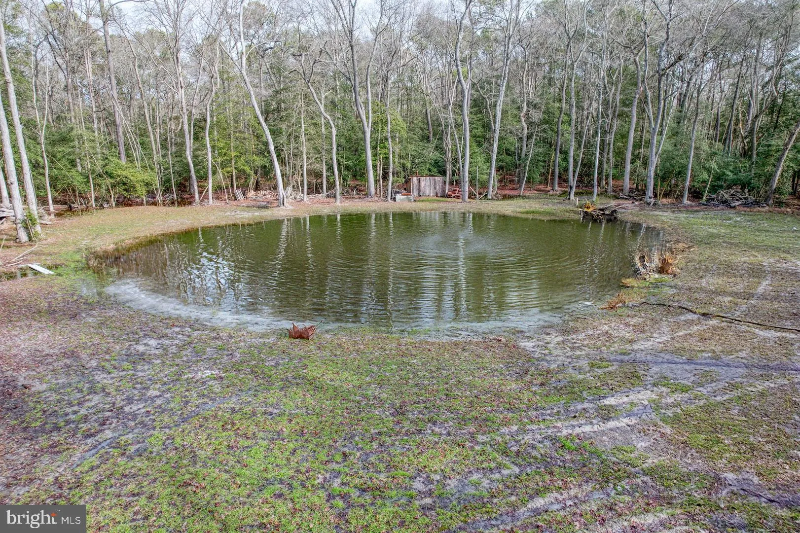 Georgetown, Delaware 19947, United States, 3 Bedrooms Bedrooms, ,3 BathroomsBathrooms,Residential,Contingent,78711