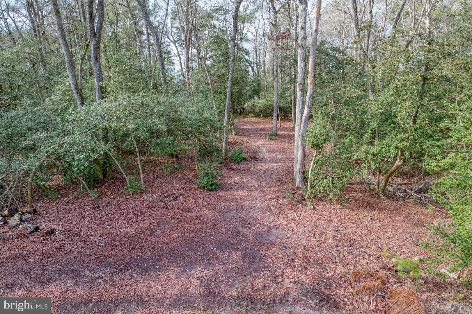 Georgetown, Delaware 19947, United States, 3 Bedrooms Bedrooms, ,3 BathroomsBathrooms,Residential,Contingent,78711