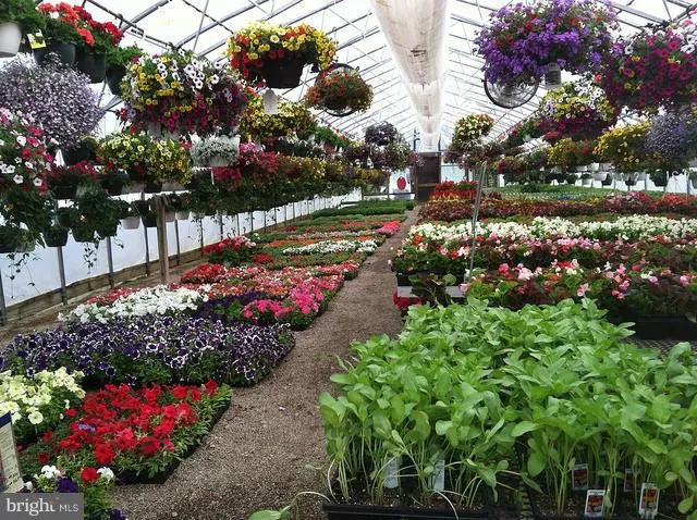 Additional image 2 of 1244 Fosters Inn Road, Grantsville, MD 21536