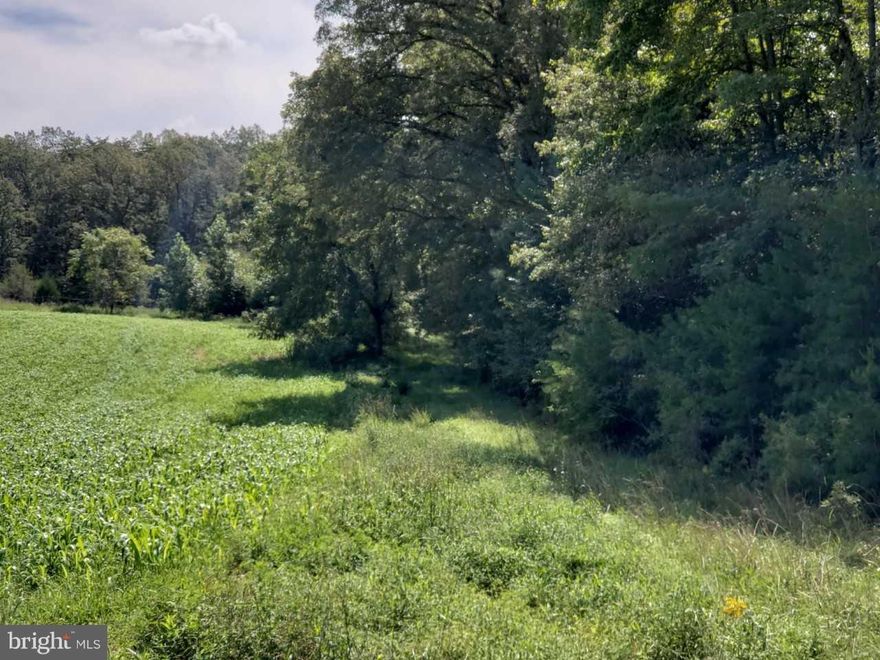 Lovely wooded lot with pastoral views. 2.44 acres with additional 10.59 acre adjacent lot available (28A)
