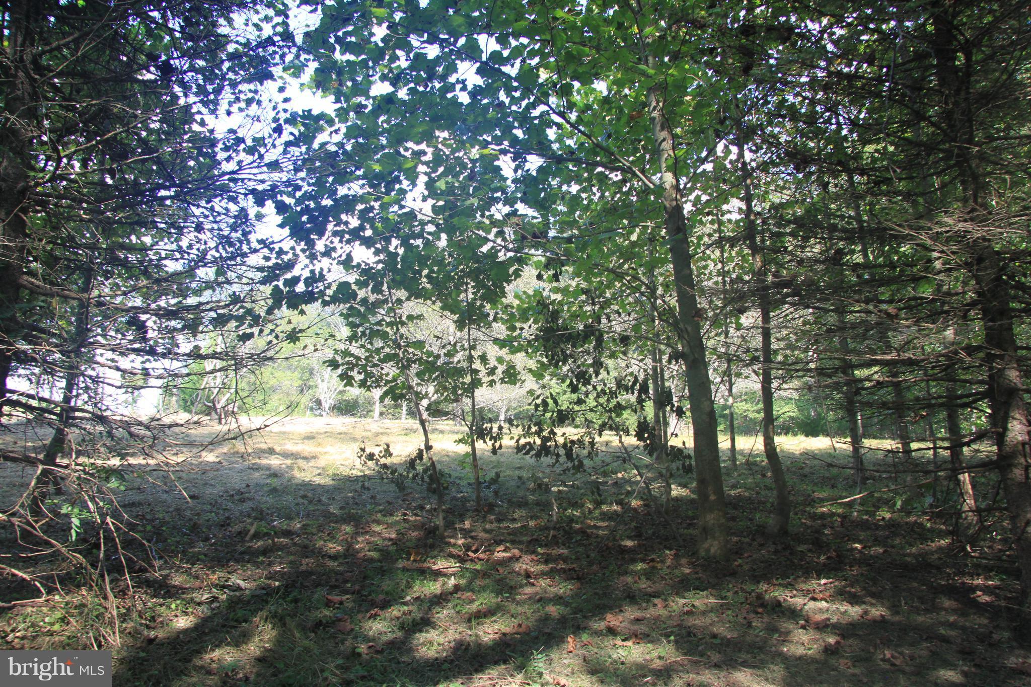 NONE AVAILABLE - Land