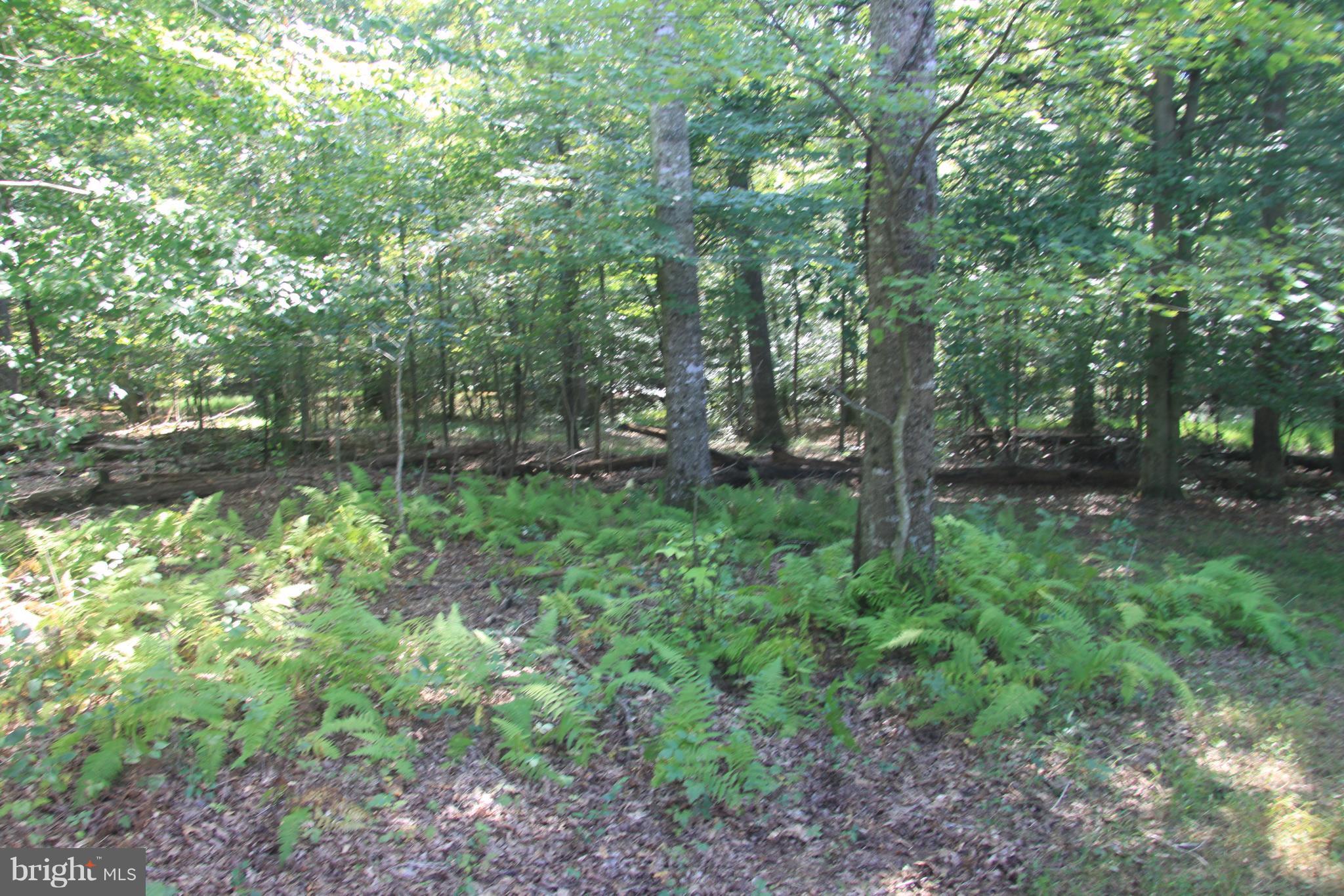 NONE AVAILABLE - Land