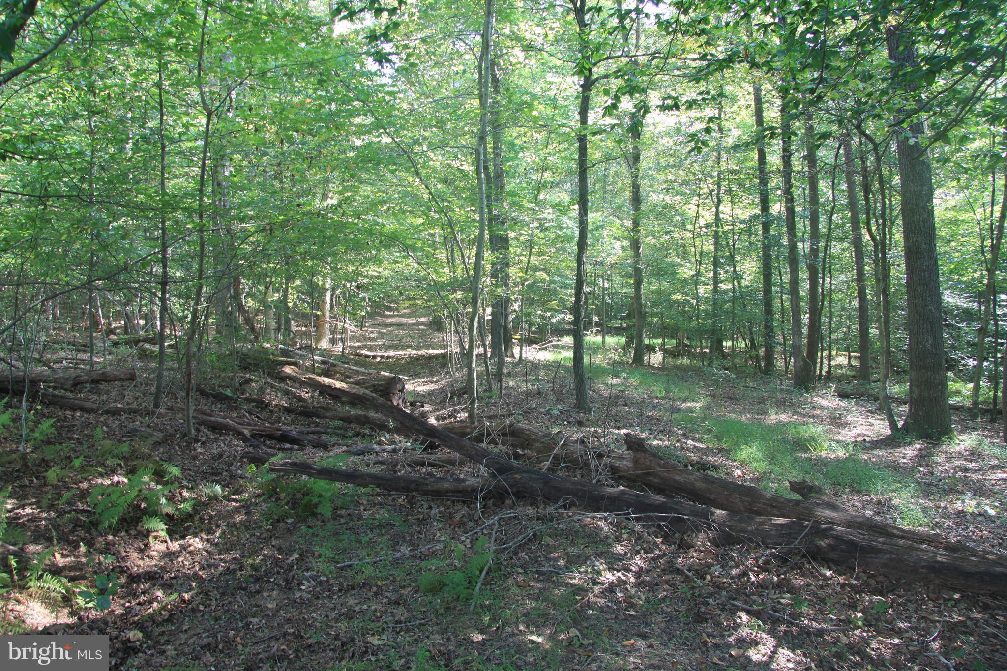 NONE AVAILABLE - Land