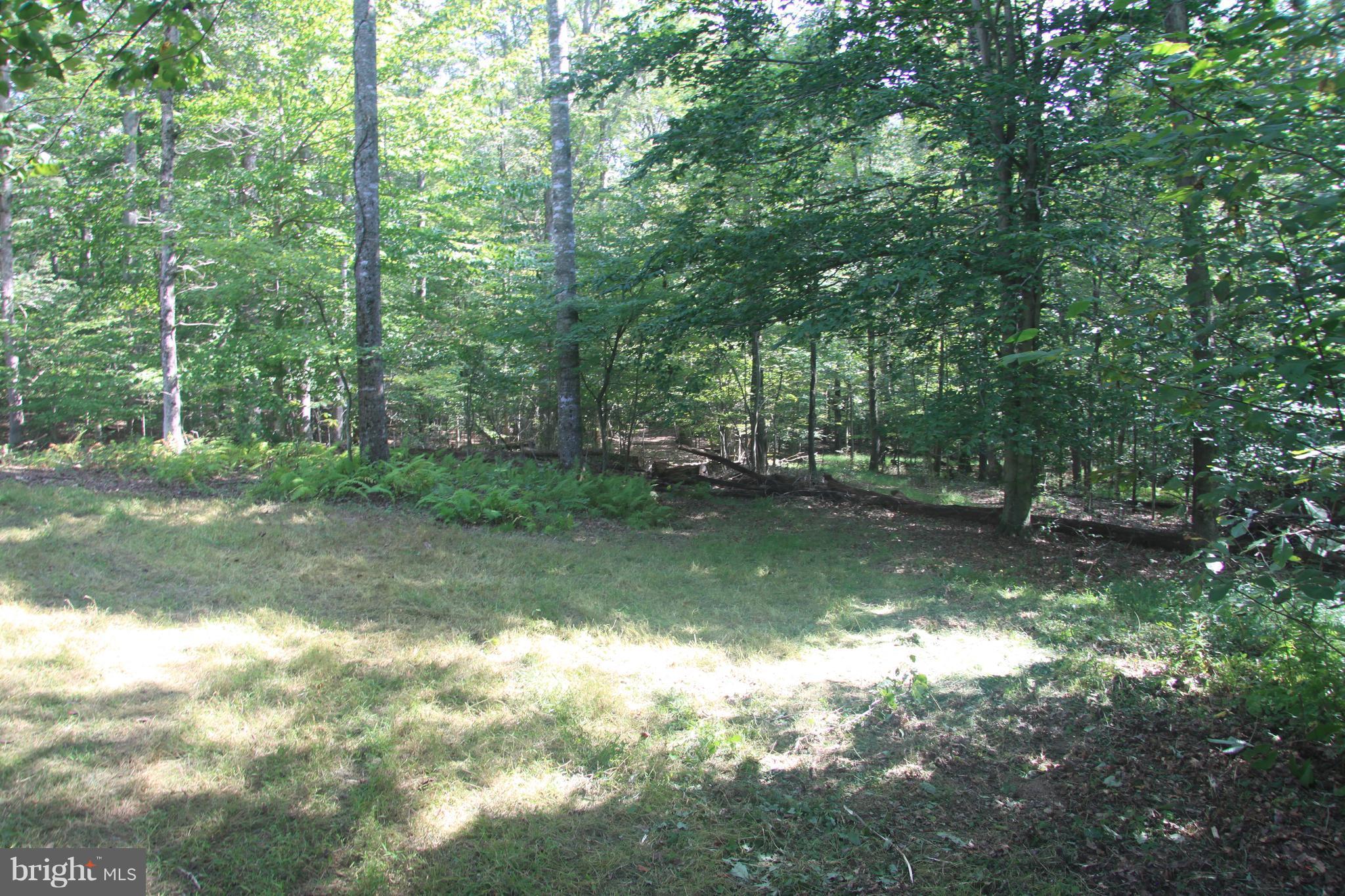 NONE AVAILABLE - Land