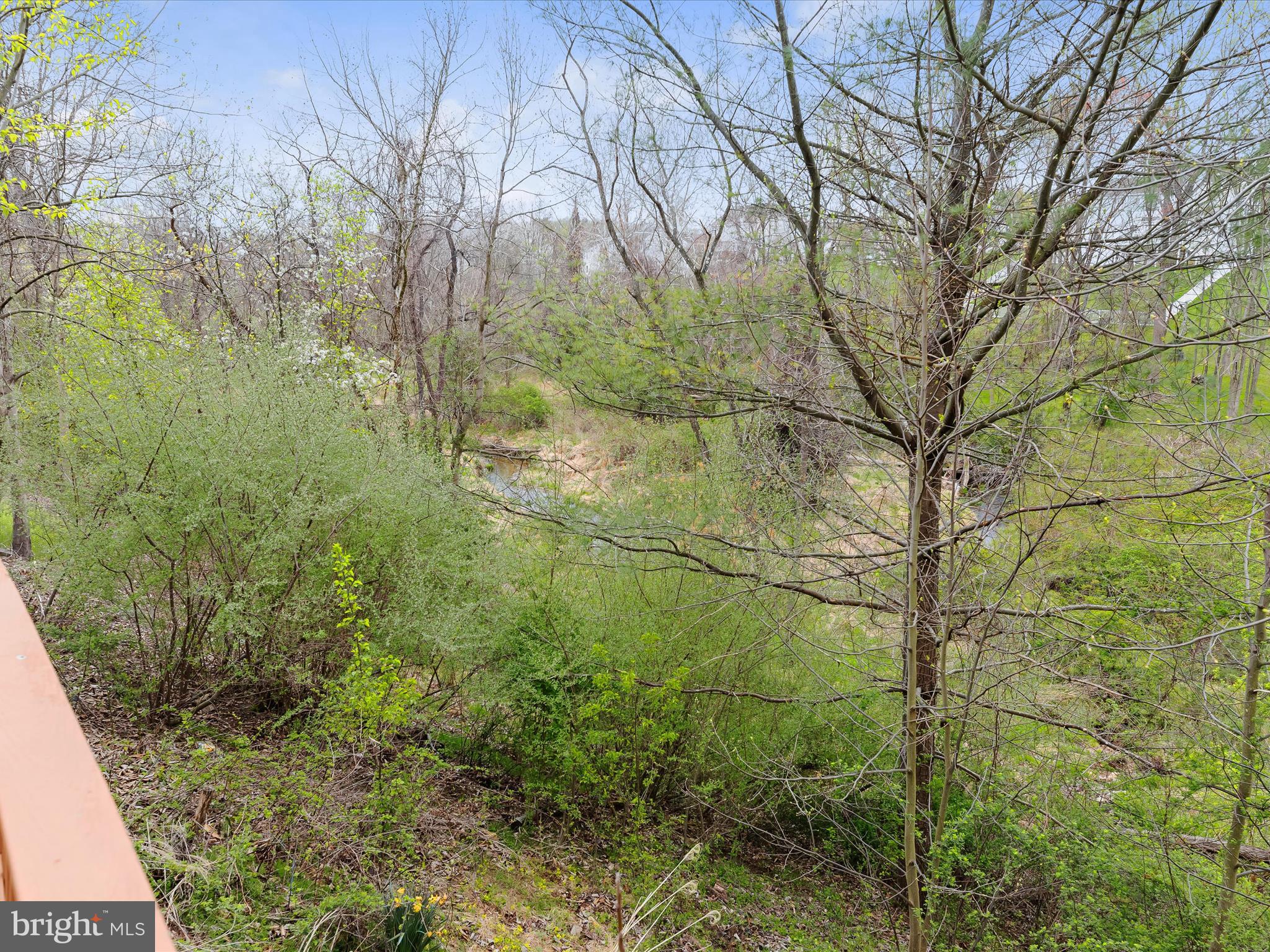 FOREST LAKES - Residential