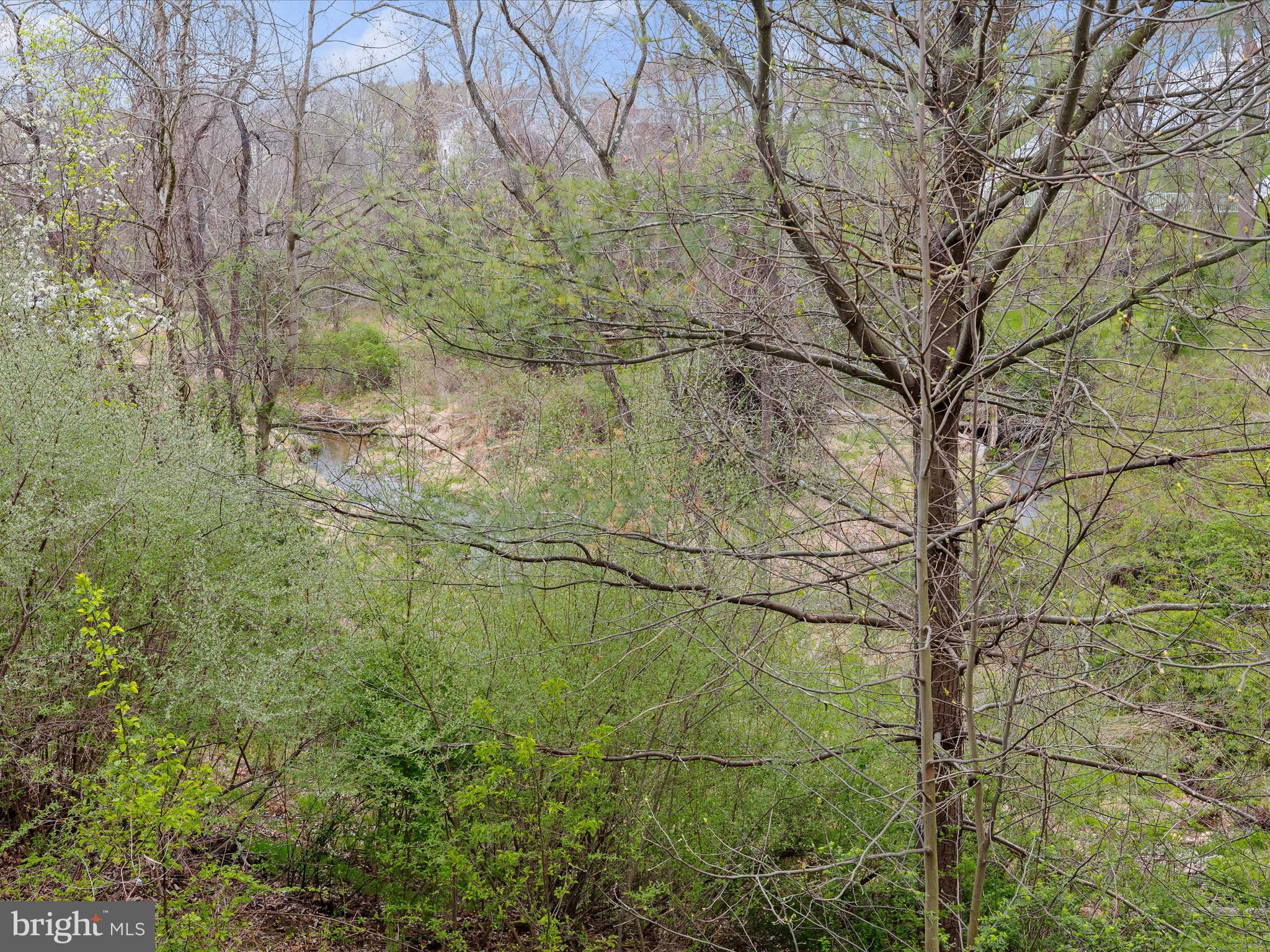 FOREST LAKES - Residential