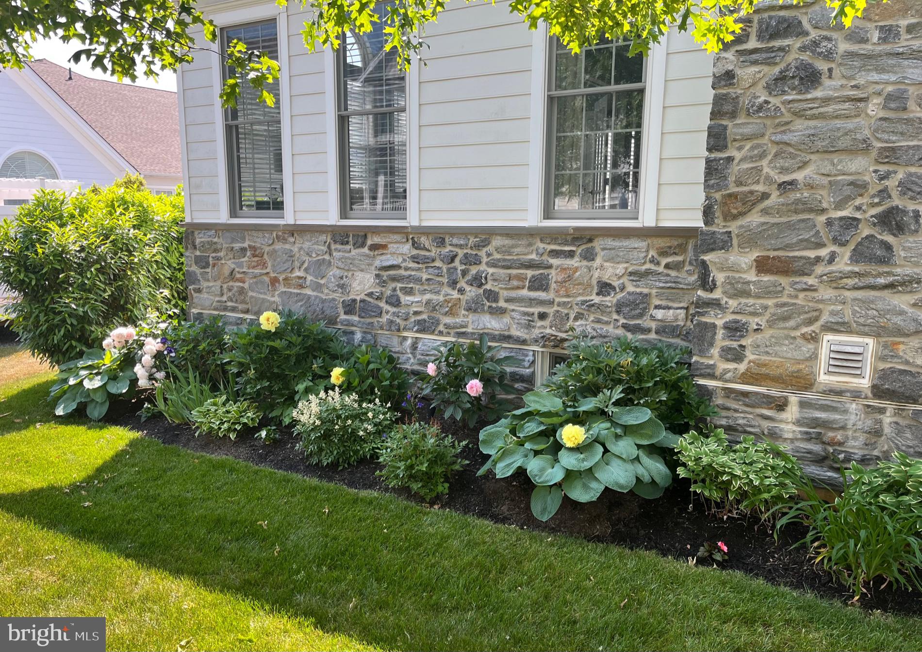 LISETER - Residential