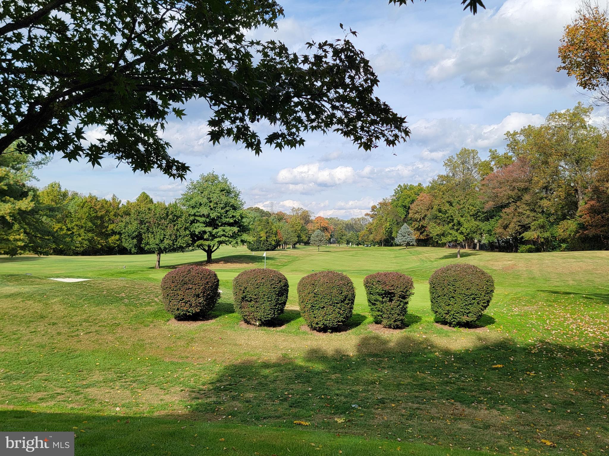 FALLS CHURCH GARDENS - Residential