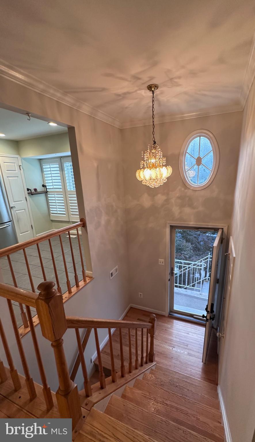 12135 DERRIFORD COURT