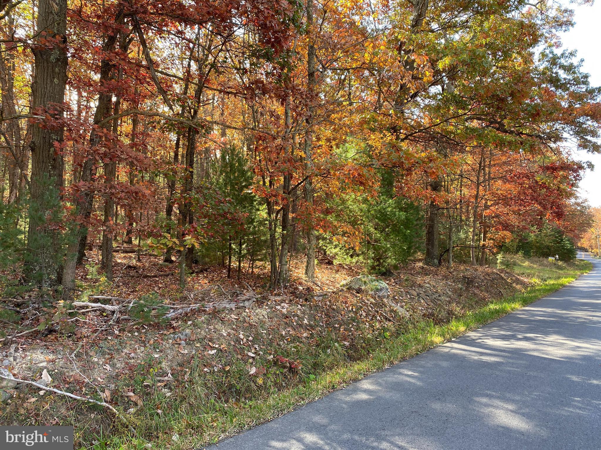 QUAKER WOODS SUBDIVISION - Land