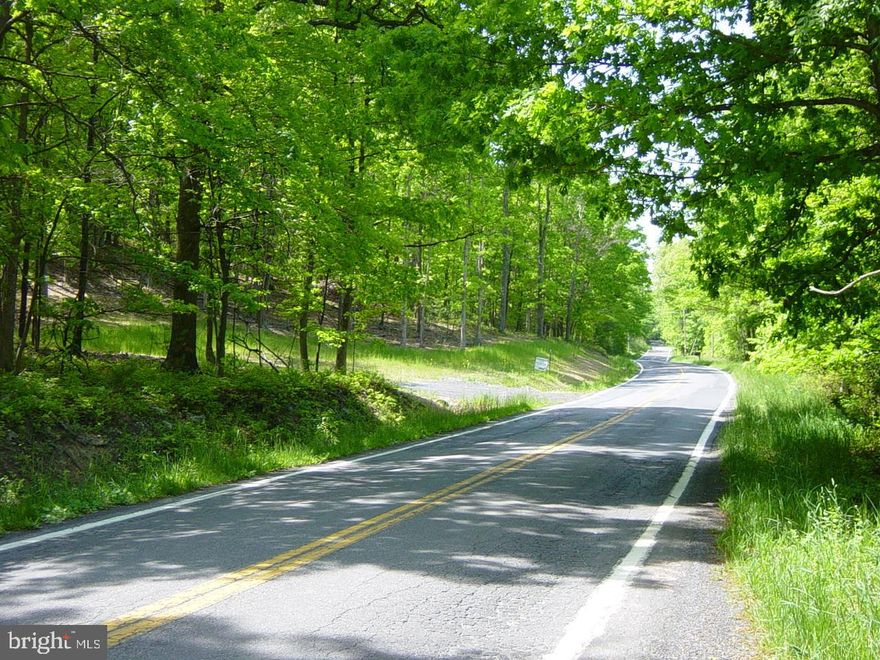 Quaker Woods Parcel  #9.  Very nice 3.40 acre wooded property with county road frontage including private entrance off Dillions Run Road.  Beautiful rock outcropping to enhance landscaping.  Electric available.  Class I perk and county approved for septic and well.  Three and half football fields big so you can build without being close to your neighbor.   Short drive to Capon Bridge, WV for dining, shopping and entrainment.  Easy commute to Virginia. Less than 30 minutes to Winchester Regional Hospital and Interstate 81.   Benefits of small subdivision and close proximity to Winchester Va.